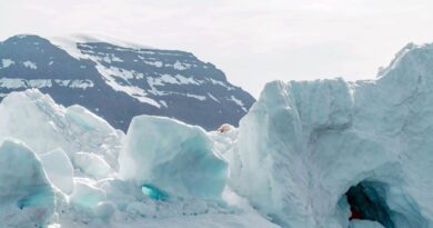 Arktis Klimawandel