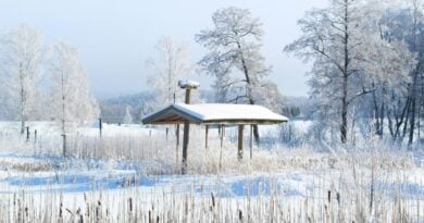 Finnland Kreditwürdigkeit Rating Wirtschaft