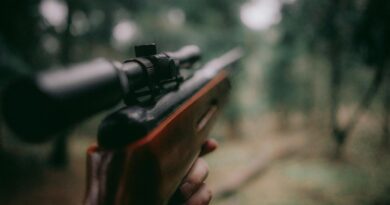 Jäger wegen Tötung eines Rehs verurteilt
