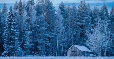 Stimmungsbild Zukunft Finnland