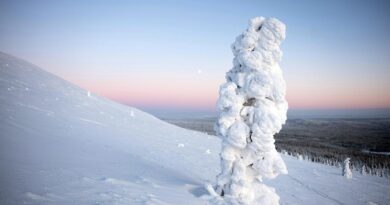 Temperatur Lappland Winter