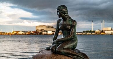 Dänemark: Ukrainische Frauen schlagen sich gut auf dem Arbeitsmarkt