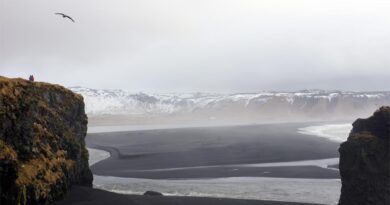 Arbeitslosigkeit in Island aktuelle Zahlen