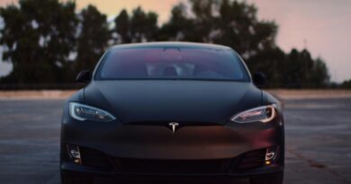 Elon Musk Auswirkung auf Tesla Verkäufe