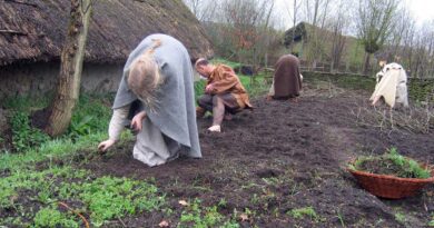 Jäger und Sammler Übergang zu Landwirtschaft