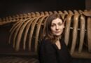 Iida Turpeinens Roman für den renommiertesten Literaturpreis Italiens nominiert
