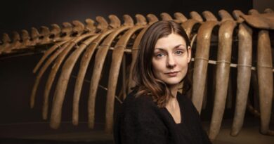 Iida Turpeinen