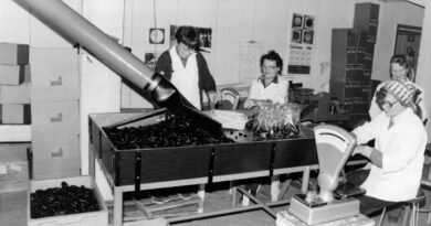 Lakritze-Verpackungsanlage