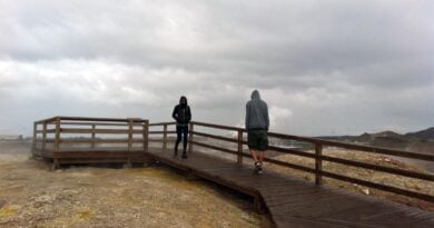 So viele Gesellenprüfungen in Island wie noch nie – Rückgang beim Abitur