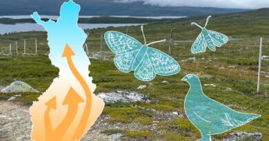 Klimawandel in Finnland und die Wirkung auf die Artenvielfalt