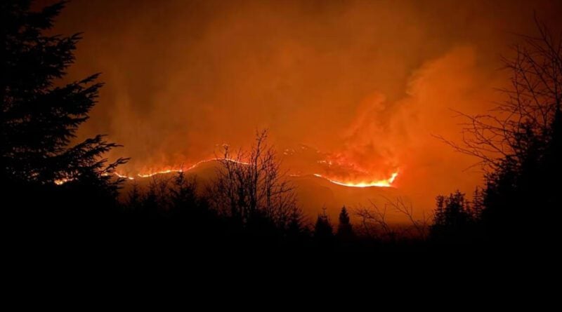 waldbrand schottland
