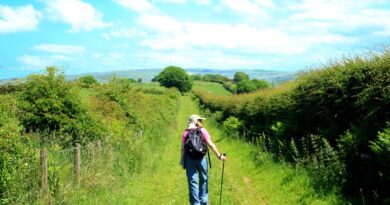 Torpenhow Hill
