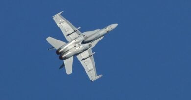 Absturz: McDonnell Douglas F/A-18