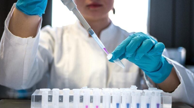 West Nil Virus Mücken in Großbritannien