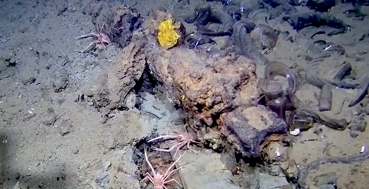 Kronleuchter Wrack