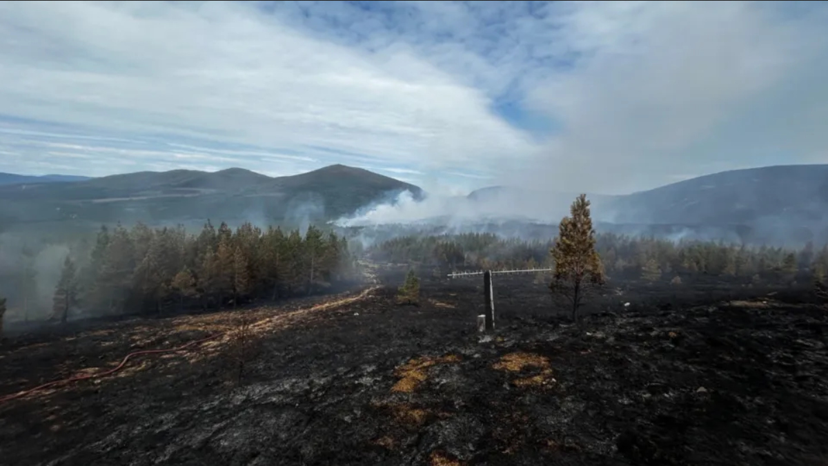 Feuer Schottland