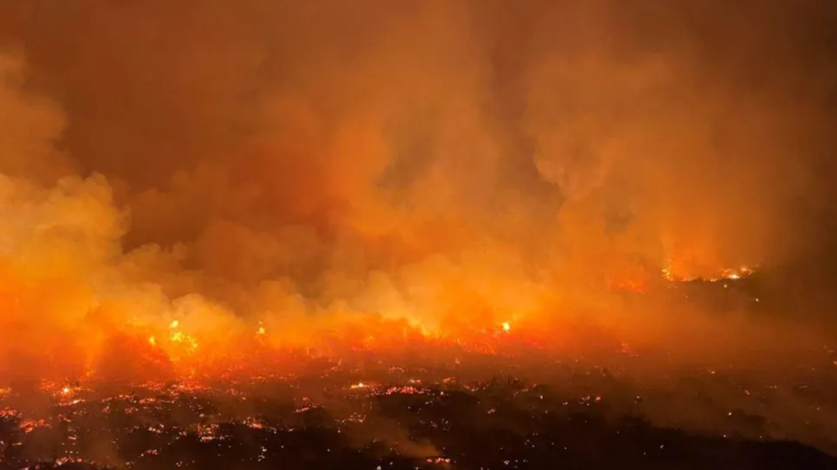 Waldbrand Schottland